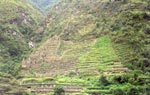 Inca Trail Photo