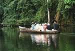 Tambopata Travel Guide