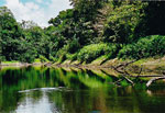 Iquitos - Amazon River